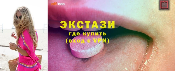гашик Краснослободск