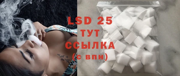 шишки Краснотурьинск