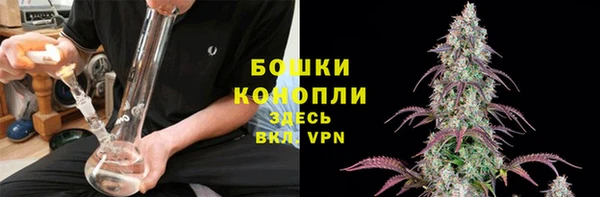 гашик Краснослободск