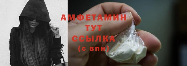 шишки Краснотурьинск