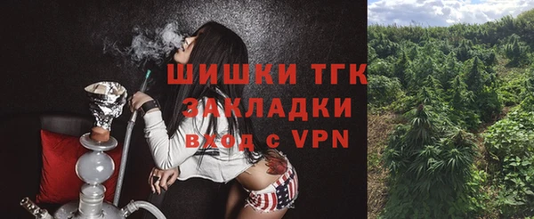 шишки Краснотурьинск