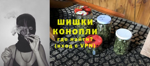 гашик Краснослободск