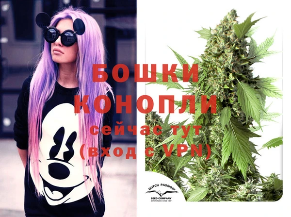 гашик Краснослободск