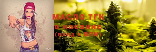 гашик Краснослободск