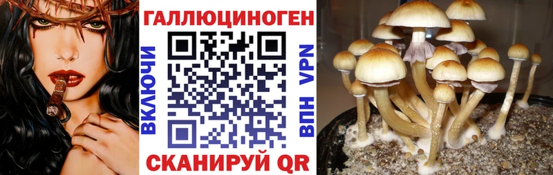 Галлюциногенные грибы мицелий  блэк спрут как войти  Ува 